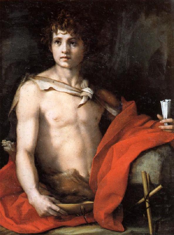 Andrea del Sarto The Young St.John China oil painting art